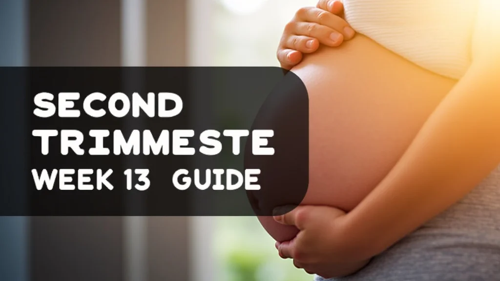 Second Trimester Week 13 Guide