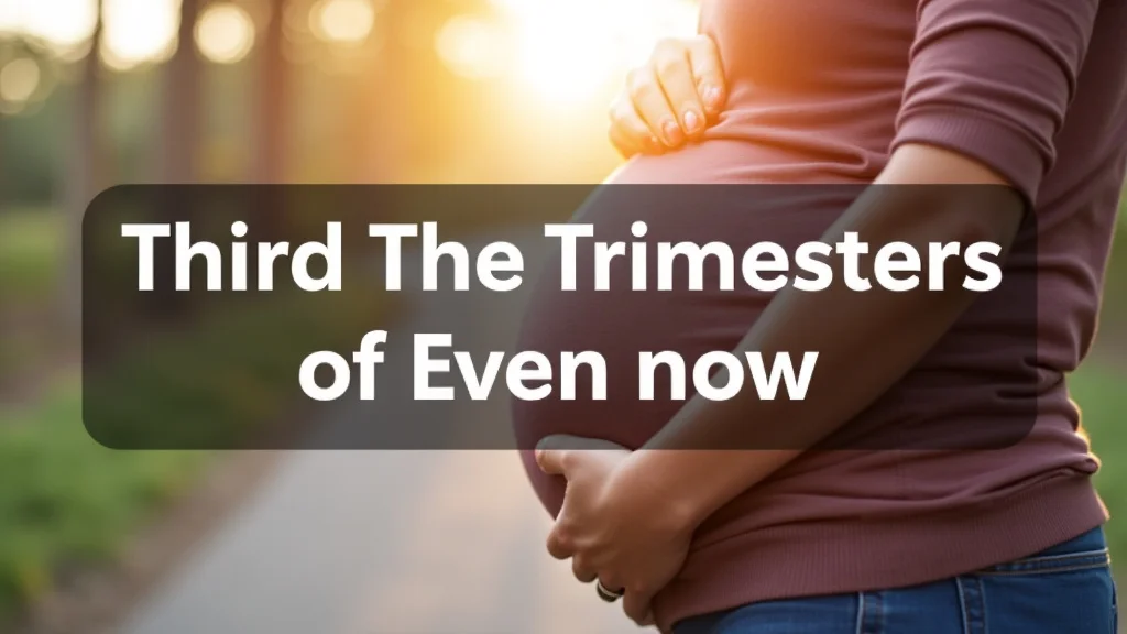Third Trimester Of Pregnancy Starts Now